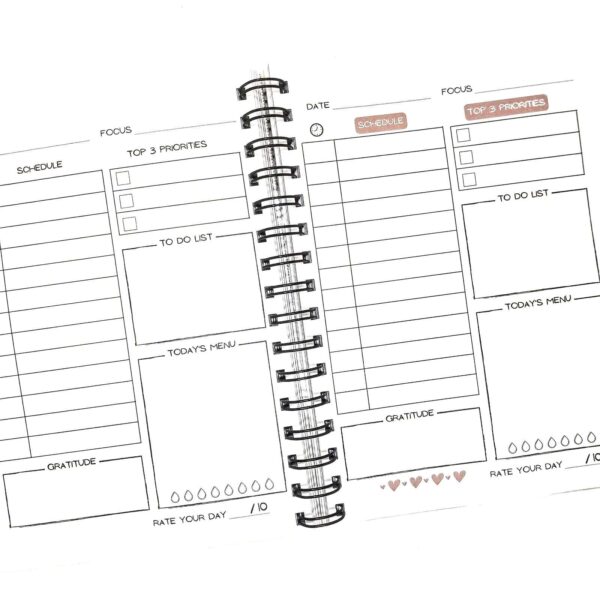 MY DAILY JOURNAL