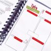 FRESH START 2026 - THE DAILY