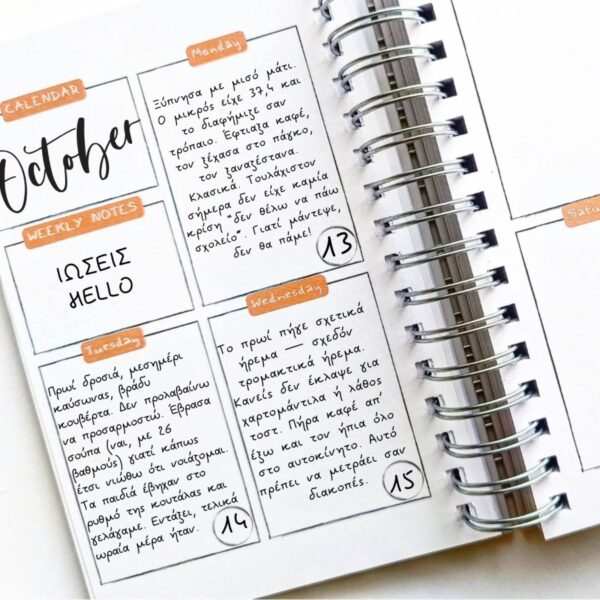 MY JOURNAL - UNDATED